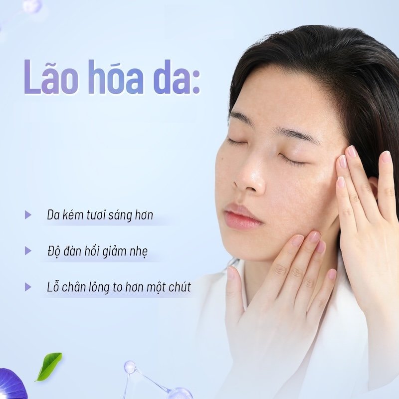 da lao hoa