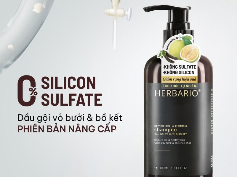 top 5 dau goi khong silicon