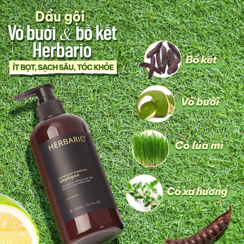 Dầu gội vỏ bưởi & bồ kết Herbario có giảm rụng tóc không dau goi vo buoi bo ket Herbario