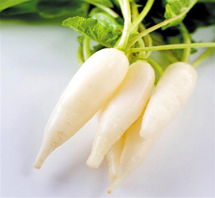 Củ cải trắng phơi khô làm nguyên liệu tắm giúp da dưỡng ẩm