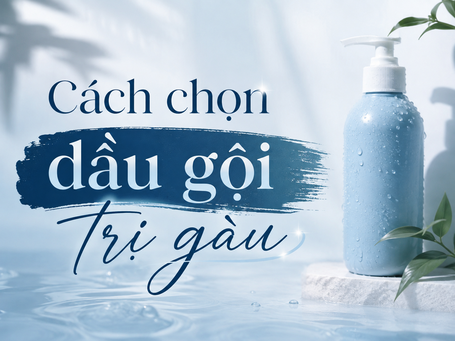 Cách chọn dầu gội trị gàu đúng ngay từ đầu để da đầu sạch khỏe lâu dài