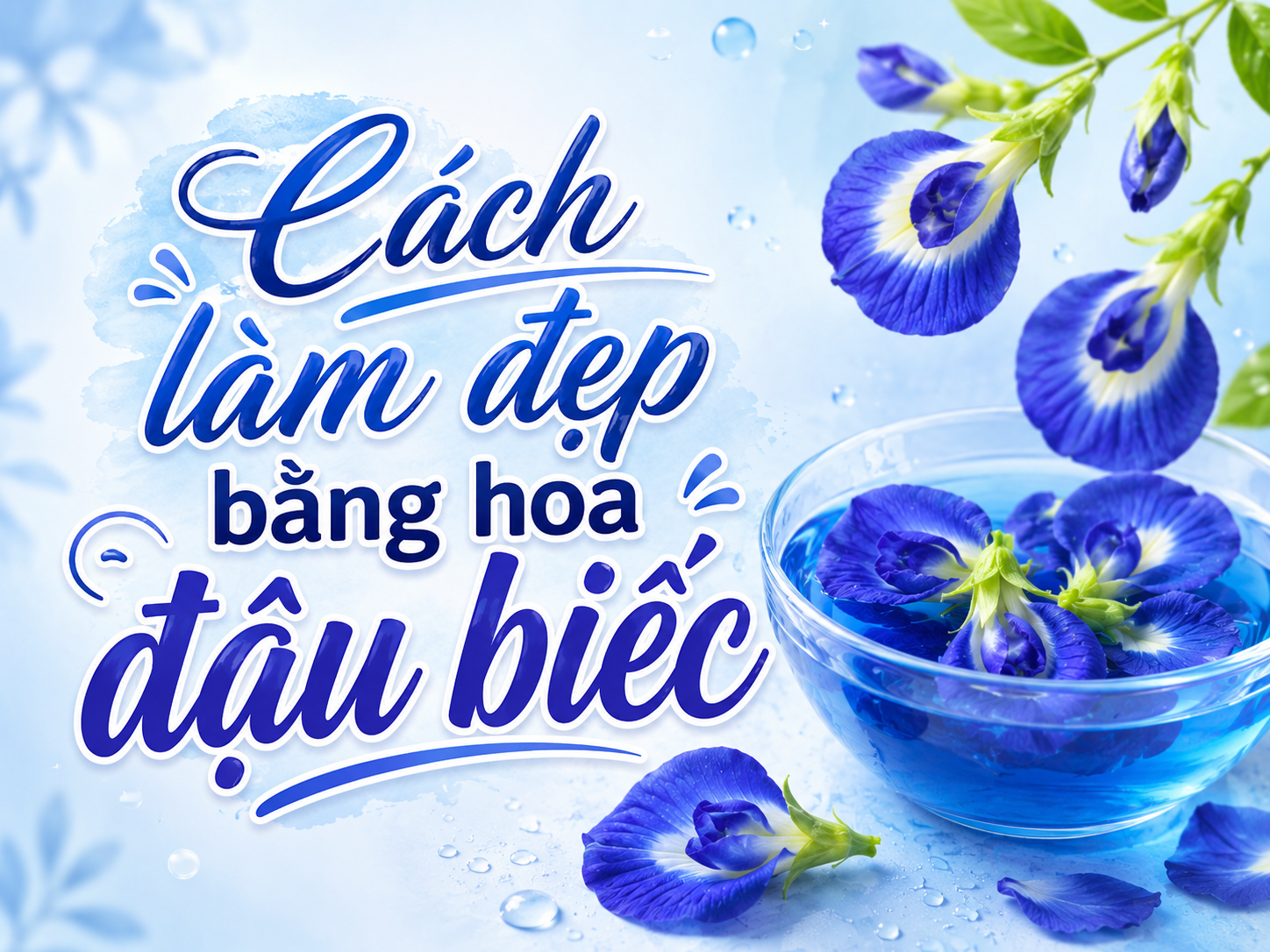 Cách làm đẹp bằng hoa đậu biếc: Bí quyết chăm sóc da tự nhiên được nhiều người yêu thích