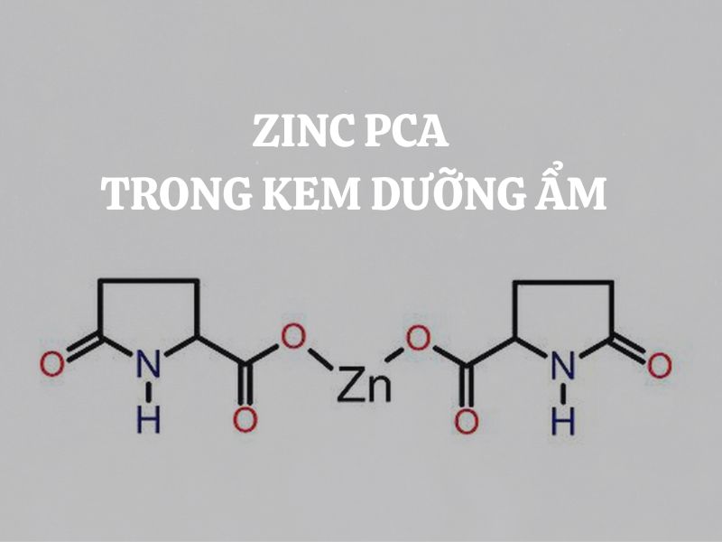 Giải đáp thắc mắc: Vai trò của Zinc PCA trong kem dưỡng ẩm cho da dầu mụn