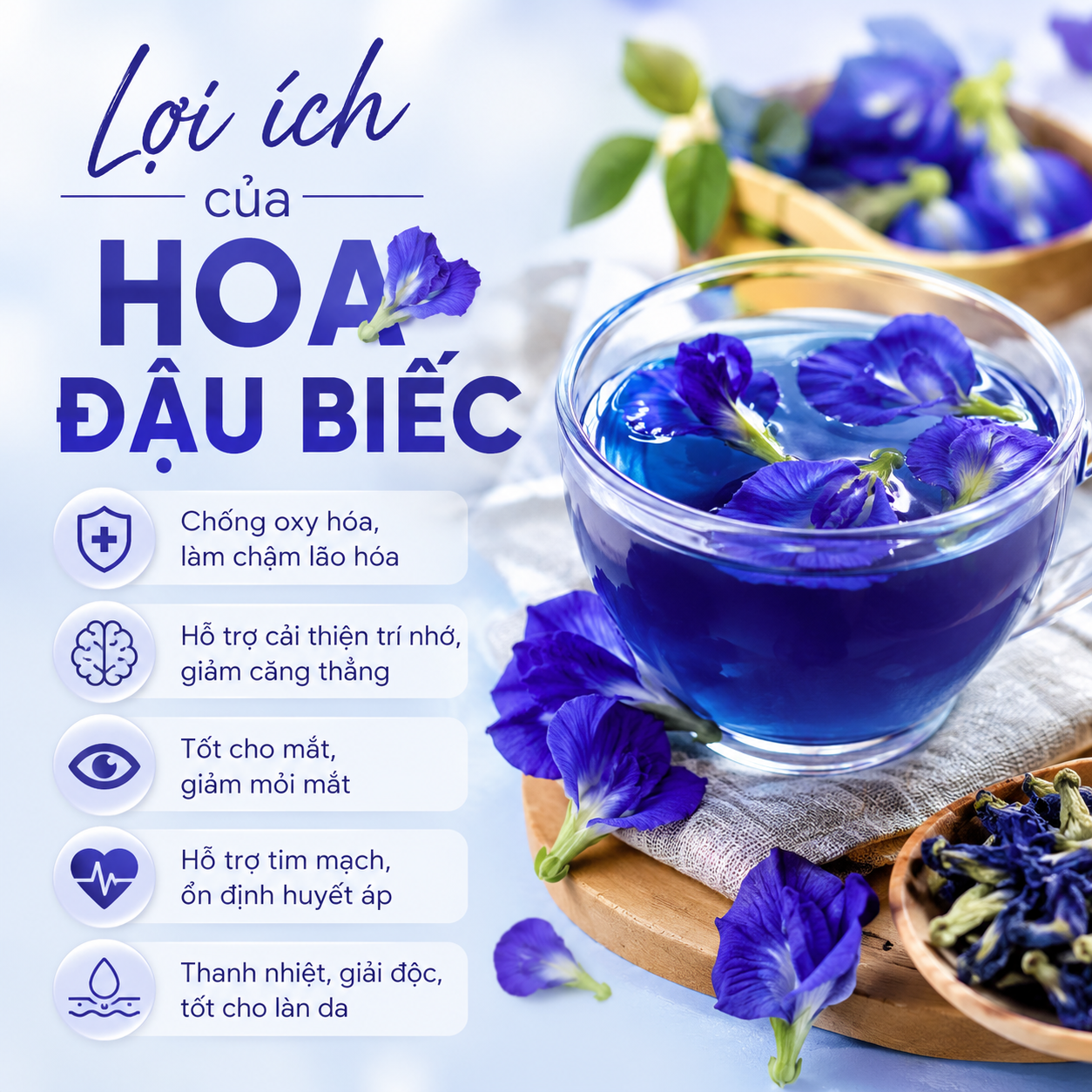 Lợi ích của hoa đậu biếc: Công dụng, cách sử dụng và những lưu ý quan trọng