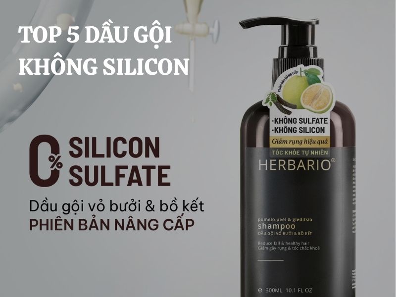 Top 5 dầu gội không Silicon được tin dùng giúp tóc khỏe từ gốc